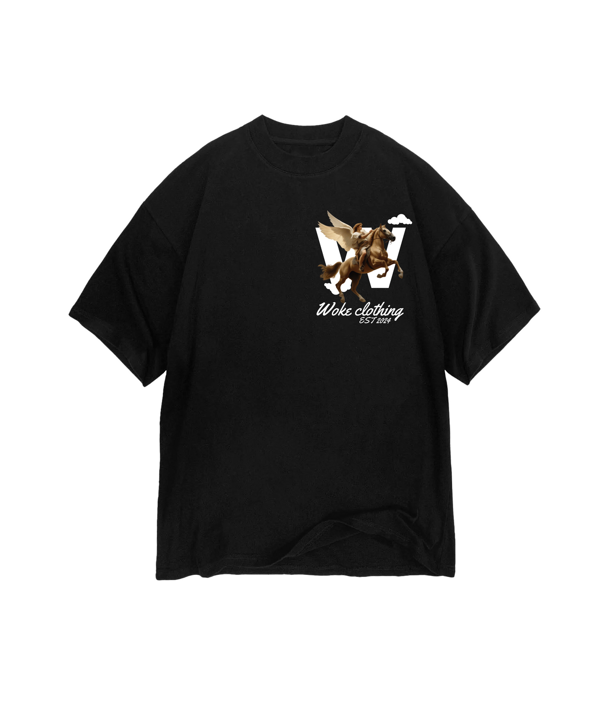 Camiseta Oversized Pegasus Rise